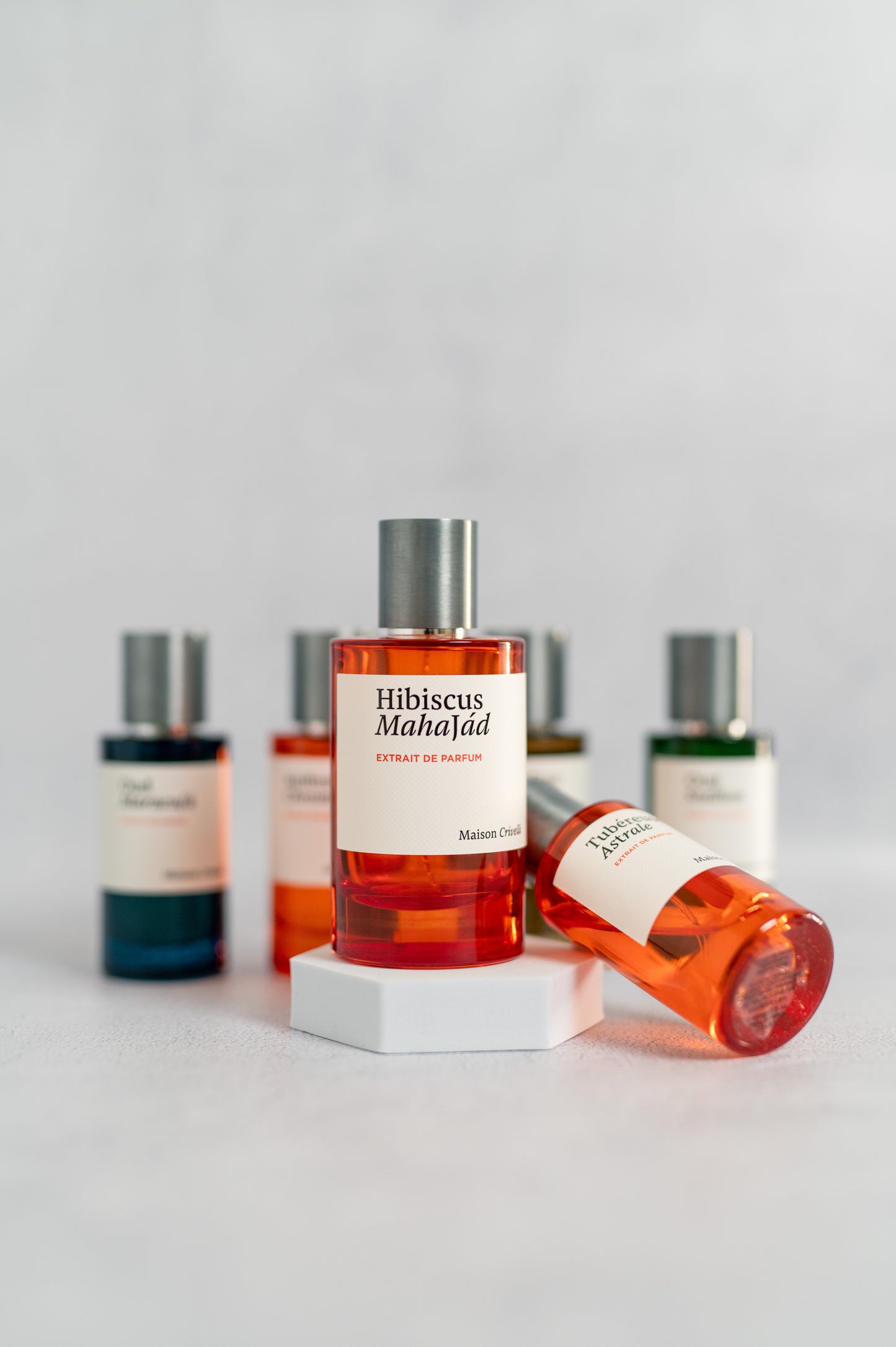 Hibiscus Mahajad Maison Crivelli Extrait de Parfum